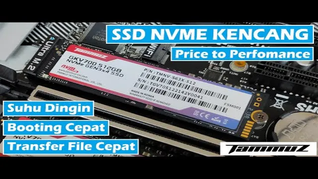 tammuz ssd review