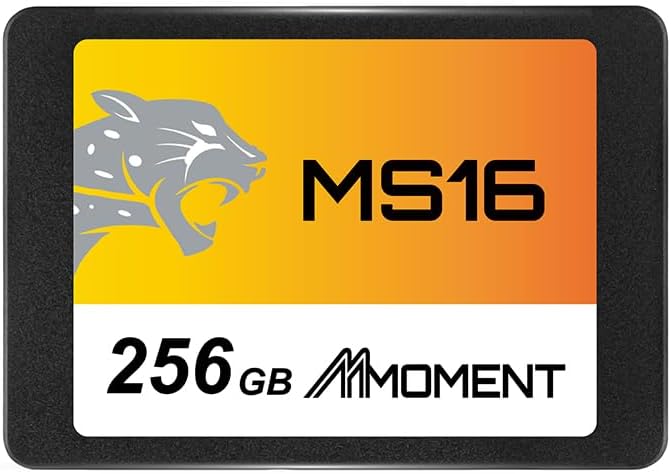 MMOMENT MS16 256GB 2.5 Inch SATA III 6 GB/s Internal Solid State Drive