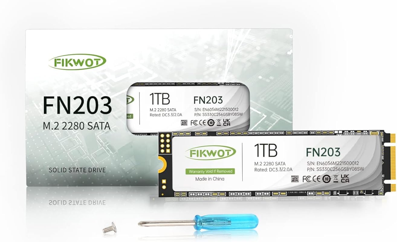 FN203 M.2 SATA SSD - SLC Cache 3D NAND TLC SATA III 6Gb/s M.2 2280 NGF