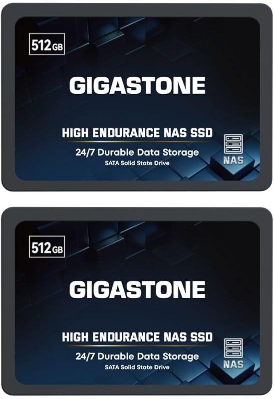 Gigastone 512GB NAS SSD 2-Pack – 2.5