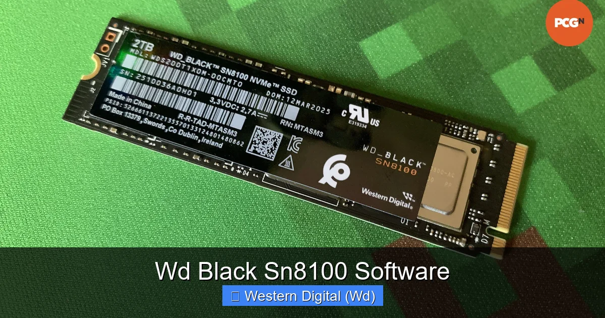 Wd Black Sn8100 Software
